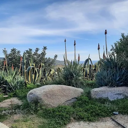 Casa de Férias Domus De Mariedda